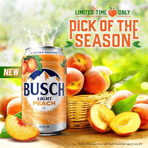 Busch Light Peach American Lager Beer 24 Pack, 12 Fl Oz Cans (12 fl oz ...