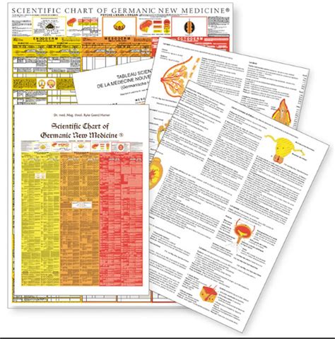 Wissenschaftliche Tabelle der Germanischen Neuen Medizin® - Dr. Ryke ...