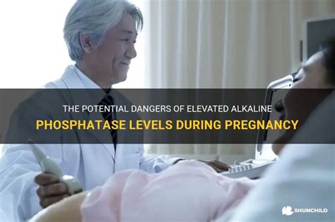 The Potential Dangers Of Elevated Alkaline Phosphatase Levels During ...