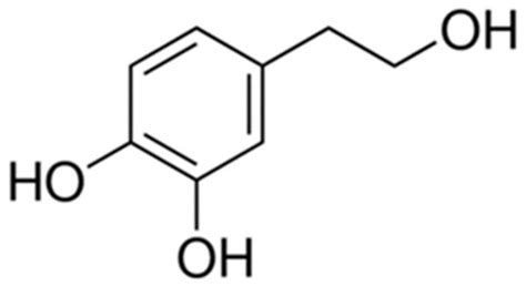Hydroxytyrosol Prevents Doxorubicin-Induced Oxidative Stress and ...