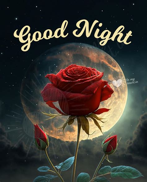 💖 Good Night Images, GIF and Videos for FREE with tag: rose