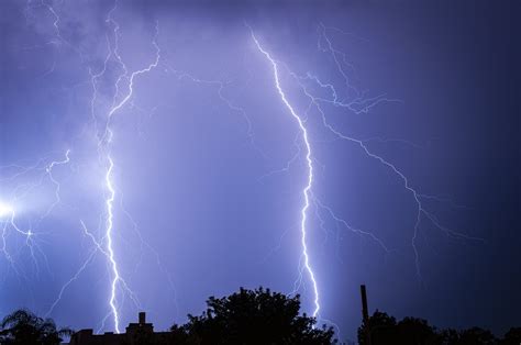 Helping Your Dog Overcome The Fear of Thunder And Other Startling Noises - HSHV