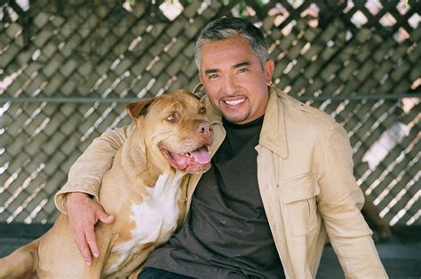 Cesar Millan picture