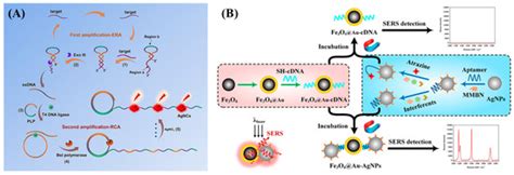 Research Progress in Small-Molecule Detection Using Aptamer-Based SERS ...