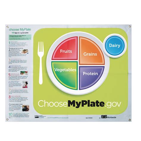 Choose My Plate Diagram