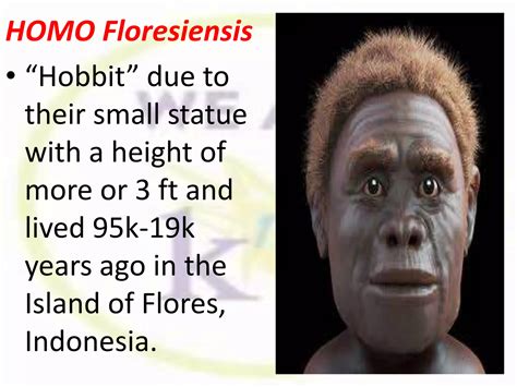 Human Origins Explained 的图像结果