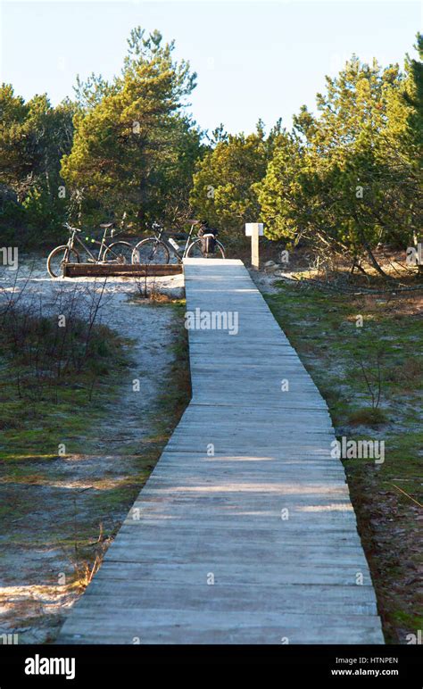 Road Path 的图像结果