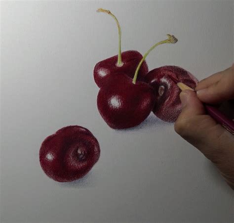 Image result for Polychromos Art Tutorials