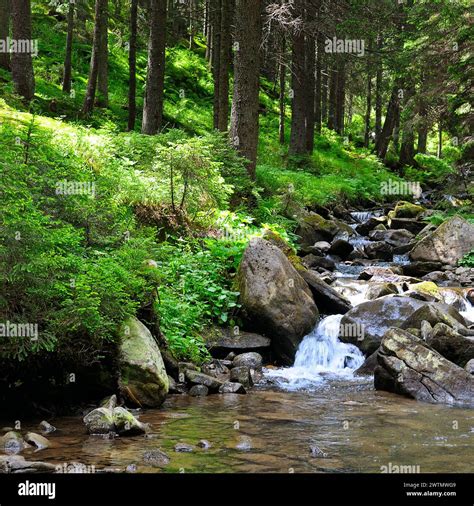 Landscape 的图像结果