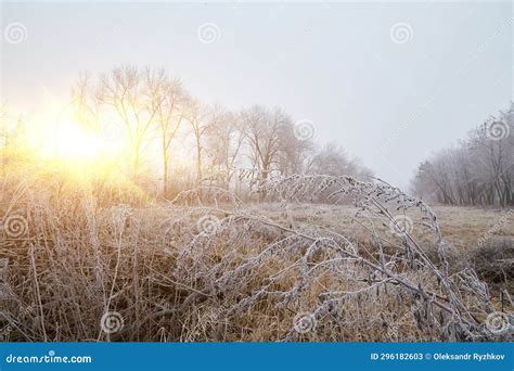 The Beginning of Winter stock image. Image of serene - 296182603