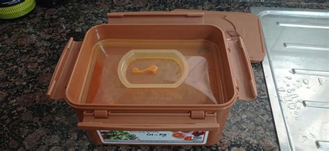 I just got this airtight container for my Kimchi. Does it smell? : r/fermentation - what is the smell of kimchi