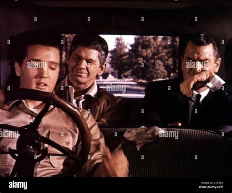 Harte Faeuste, Heisse Liebe Kid Galahad Elvis Presley, Charles Bronson ...