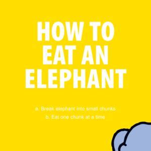 Image result for My Everything Problem