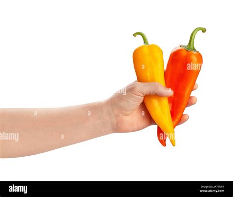 long sweet pepper in hand path isolated on white Stock Photo - Alamy