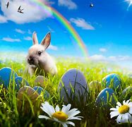 Image result for Bunnies in Spring Time