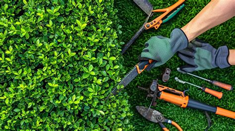 Garden maintenance