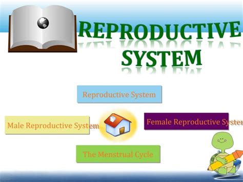 Image result for Reproductive System Grade 10