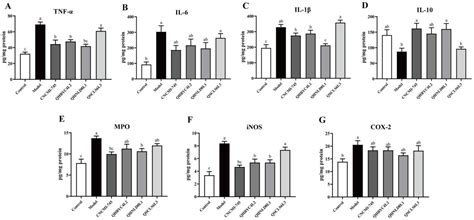 Anti-Inflammatory, Barrier Maintenance, and Gut Microbiome Modulation ...