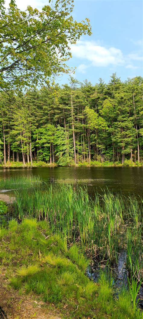 Wilderness Retreat: 15 Camping Getaways near Berlin, MA, USA ...