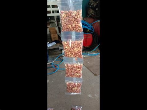 Chips Packing Machine - Potato Chips Packaging Machine Manufacturer ...