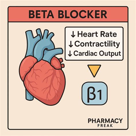 Mechanism of Action of Beta-Blockers