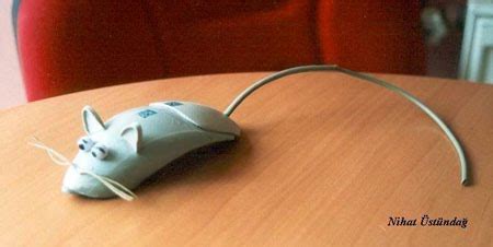 Funny Computer Mouse 的图像结果