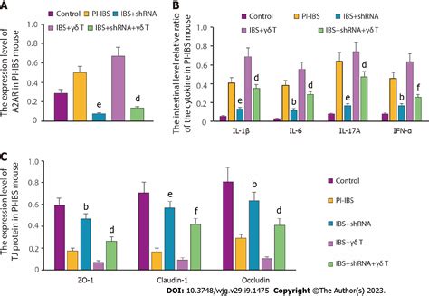 Adenosine 2A receptor contributes to the facilitation of post-infectious irritable bowel ...