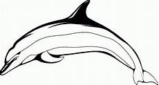 malvorlagen delfin lyrics ausmalbilder delphin zum ausdrucken malvorlagentv malvorlagen delfin lyrics ausmalbilder delphin zum ausdrucken malvorlagentv