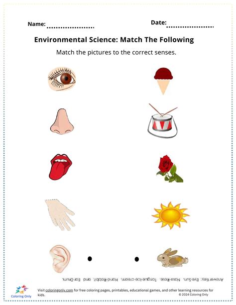 Environmental Science Printable Worksheets
