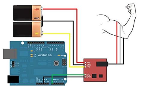 Three‐lead Differential Muscle/electromyography Sensor for ...