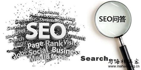 Main Insights To Comply With In The Search Engine Optimization Software ...