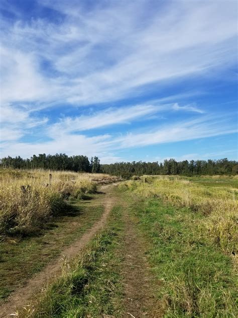 Sandy River Delta: A Tranquil Escape Where History Whispers Through the ...