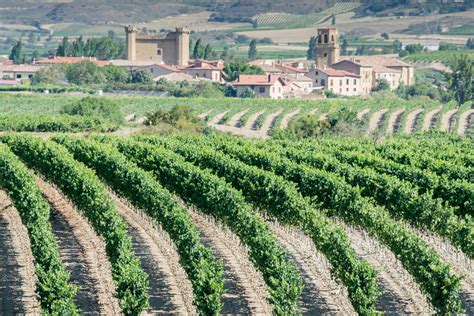 Rioja Wine Region Guide | WineTourism.com