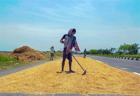 Tranche III stimulus brings no immediate respite for farmers ...