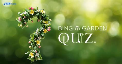 Bing Love Quiz 的图像结果