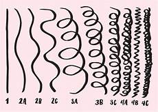 Hair Texture Numbers by How To Figure Out Your Curly Hair Type And Why It Actually Hair Texture Numbers