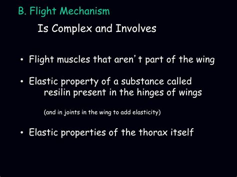 Flight Structures in Insects 的图像结果