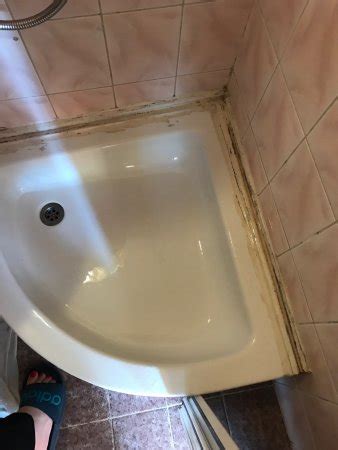 CASA PISICA NOASTRA (Sinaia) - Guesthouse Reviews, Photos, Rate ...