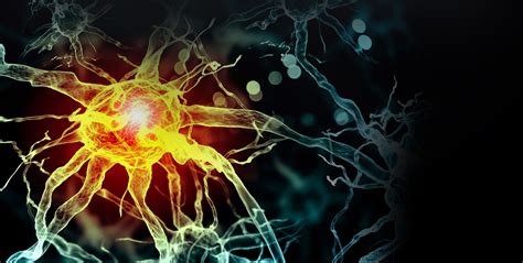 Bildergebnis für brain biotechnology