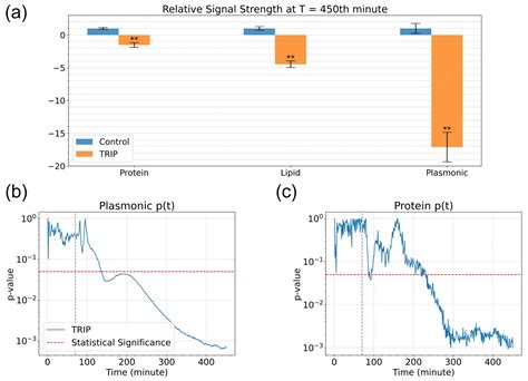 Probing the Drug Dynamics of Chemotherapeutics Using Metasurface ...