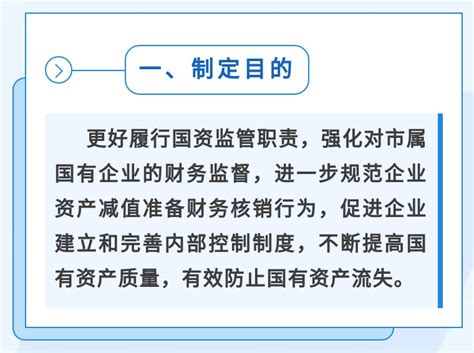 【图解 主要负责人解读】《嘉兴市市属国有企业资产减值准备财务核销管理暂行办法》政策解读