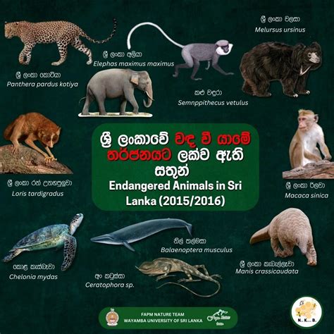 Endemic Animals To Sri Lanka