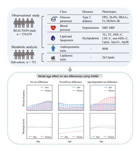 Scientists elucidate age and gender disparities in cardiometabolic ...