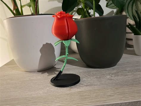 Eternal Rose by Cobalt - MakerWorld