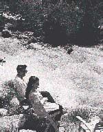 Pin-up parade - India Today