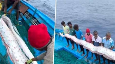 Fish:বাপ রে! এটা কী পড়ল জালে? এ কোন 'অশনি সংকেত'? মাছ ধরতে গিয়ে শিউরে ...