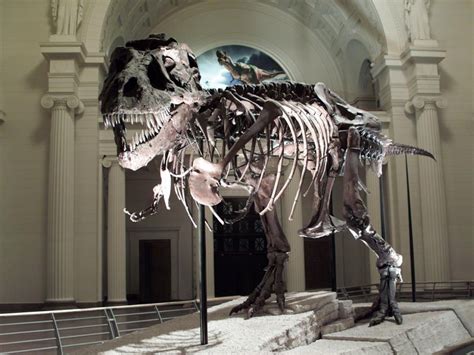 65 Million Years Ago Cretaceous