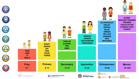 Stages Of Education
