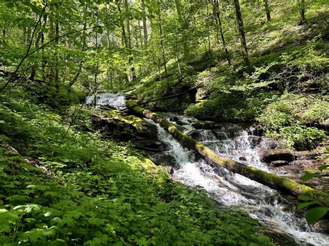 Chattahoochee River Road, Georgia - GPS Trail Map, Conditions ...