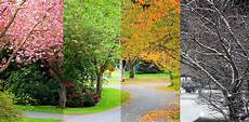 Season Picture by Curious Why Are There Different Seasons At Specific Season Picture